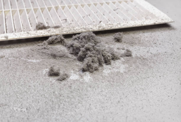 Best Ductwork Cleaning Services  in Oakland, TN